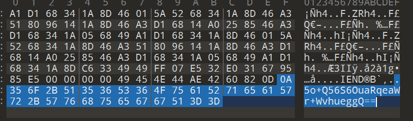 image-20240131101102692